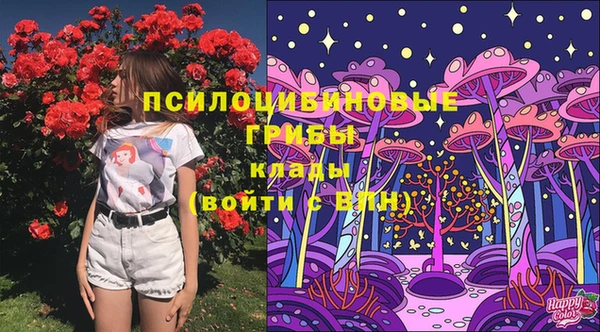 круглые Белокуриха