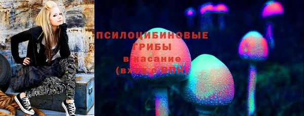 круглые Белокуриха