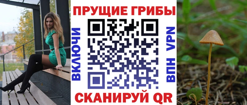 МЕГА рабочий сайт  Нарьян-Мар  Псилоцибиновые грибы Psilocybe 